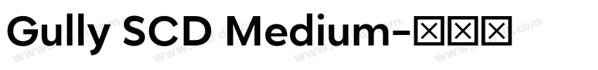 Gully SCD Medium字体转换